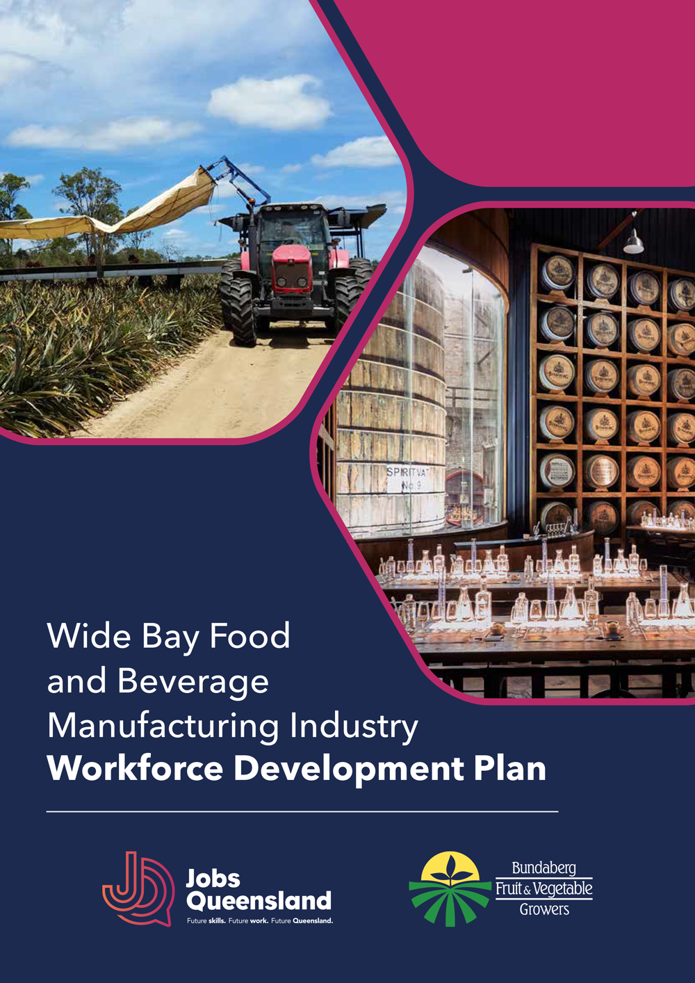 Cover of workforce plan